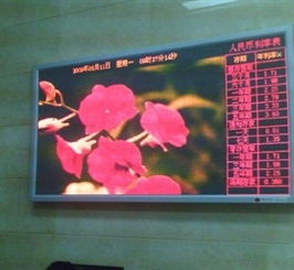 番禺沙灣LED顯示屏與廣告設(shè)計(jì)服務(wù)——以靈申廣告為例探析本土供應(yīng)商的整合之道